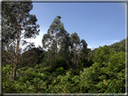foto Parco botanico Terra Nostra
